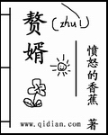 赘婿最新章节