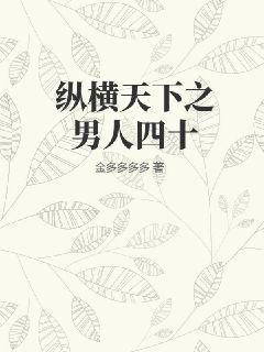 纵横天下之男人四十最新章节